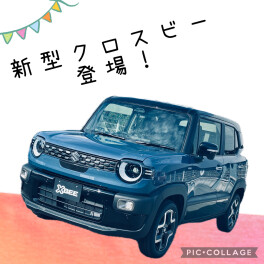 クロスビーが新しくなりました！